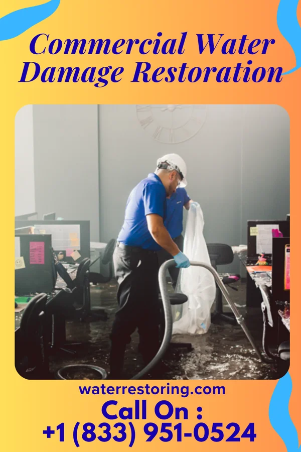 Commercial Water Damage Restoration in Di Giorgio, CA