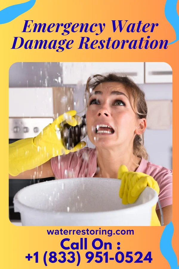 Emergency Water Damage Restoration in Di Giorgio, CA